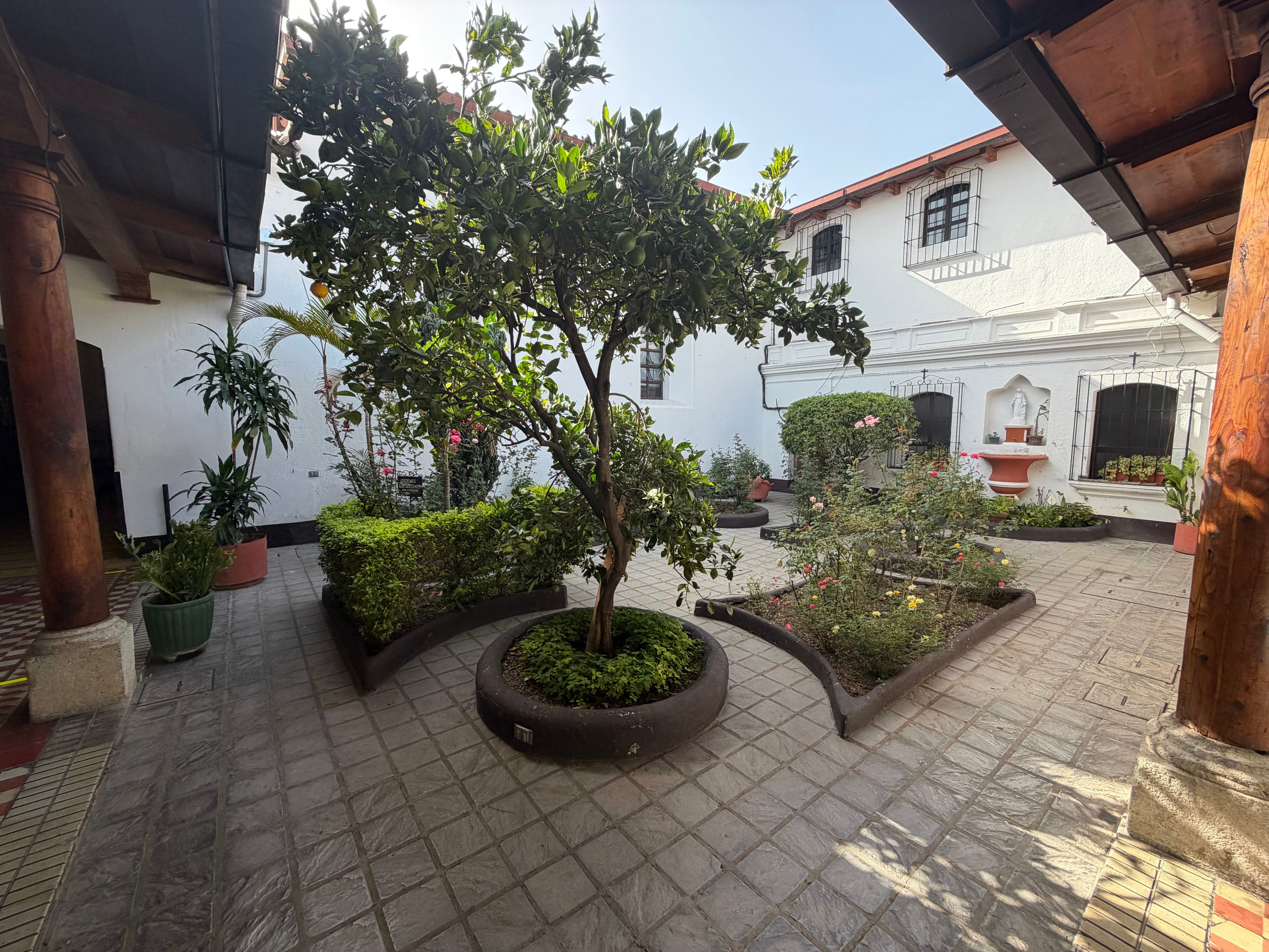 Trees and planted beds fill an open courtyard at Obras.